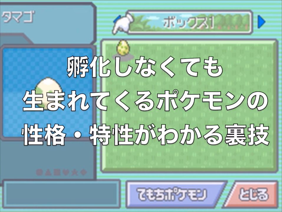 ポケモンダイヤモンド パール プラチナでタマゴの中身を見る裏技