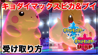 ポケモン ラビットのゲーム攻略